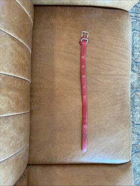 Vintage Coach red dog collar